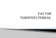 FACTOR Tuboepritoneal