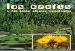 Los Cactus y las otras plantas Suculentas - José Francisco Ballester Olmos