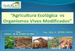 AGRICULTURA ECOLOGICA VS OVM (TRANSGÉNICOS) 2