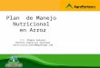 Plan Manejo Nutricional en Arroz - Agrosagi