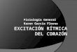 68571483 Excitacion Ritmica Del Corazon