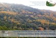 Caracterización ambiental de los robledales de Quercus pyrenaica Willd. de Sierra Nevada