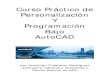 Personalizacion y Programacion AutoCAD