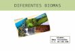 Diferentes biomas