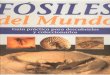 Fósiles del Mundo: Yacimientos