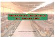 Proyecto Avicola El Papelon ESTE ES