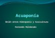 Presentacion Introduccion a La Acuaponia