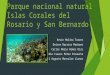 Parque nacional natural islas corales del rosario y san bernardo