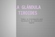 La glándula-tiroides1