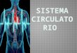 Sistema circulatorio zootecnia