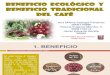 Beneficio Tradicional y Ecologico Del Cafe