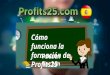Presentación Profits25-España