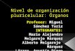 Nivel de organización pluricelular por Mario Alejandro y Alberto Melgarejo