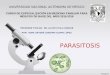 Parasitosis deydre guapo