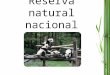 Reserva natural nacional Wolong