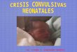 Convulsivas neonatales