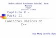 0.2  Conceptos Basicos C++ II