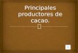 Principales productores de cacao