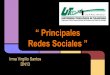 Principales redes sociales (1)