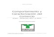 Comportamiento y Caracterización del Comercio II Valle de Aburrá 2011