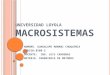 METODOS-P1-8508-2  MACROSISTEMAS
