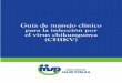Guía de manejo clínico para la infección por el virus chikungunya - (CHIKV)