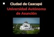 Presentacion Caacupe - Hector Gimenez