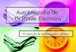Autobiografía de Di Ponte Eleonora