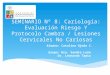 SEMINARIO Nº 8: Cariología: Evaluación Riesgo Y Protocolo Cambra / Lesiones Cervicales No Cariosas