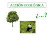 Biodiversidad y ecología
