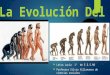 La evolucion de_leiva