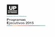 Desarrollo de negocios online - 2015 - Universidad de Palermo