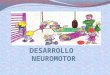 Entrenamiento neuromotor breve