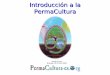 Scotti, antonio   curso de introducción a la permacultura