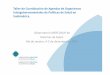 Taller de Coordinación de Agendas de Organismos Intergubernamentales de Políticas de Salud en Suramérica