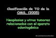 Clasificación Tumores Odontogénicos OMS 2005