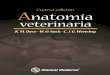 Anatomía veterinaria       Dyce , K.M. ; Sack , W.O.; Wensing , C.J.G