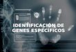Identificación de genes específicos