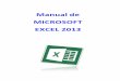 Excel 2013 (1)