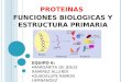 TEMA 6: Proteinas: funciones biologicas y estructura primaria