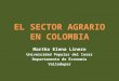 El Sector Agrario En Colombia