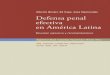 Resumen Ejecutivo - Defensa Penal Efectiva.pdf