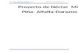 Informe Nectar Mix Piña Alfalfa Durazno[1]