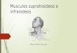 Musculos Suprahioideos e Infraiodeos