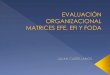 Matrices Efe, Efi y Foda