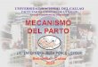MECANISMO DE PARTO EXPOSICION.ppt