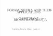 Cap 7. Aplicaciones en Bioestratigrafía de Foraminíferos