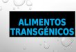 Alimentos Transgénicos Ppt Gamboa Fred