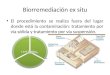 Presentacion Micro Biorremediacion Ex Sito y Fitorremediacion (1)