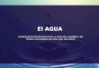 El AGUA - Dr Vigo (1)